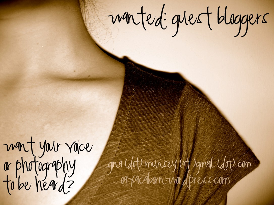 Open call for guest bloggers and photographers on Oaxacaborn! 