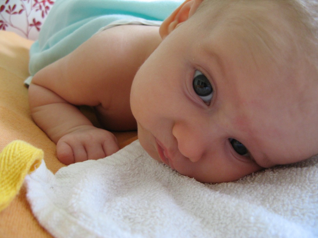 aveline alenka - nine and a half weeks old