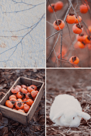 image via Spring 2011 Look Book - Ruche - ShopeRuche.com