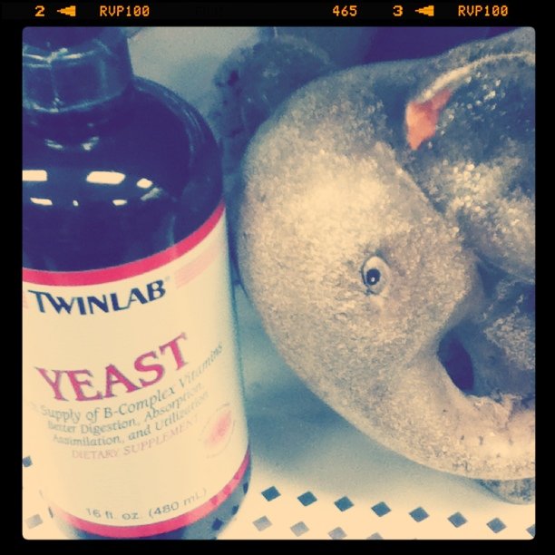 TwinLab Yeast Supplement and Ceramic Elephant with Chipped Ear - Creepy Clearance Aisle at Ross Store