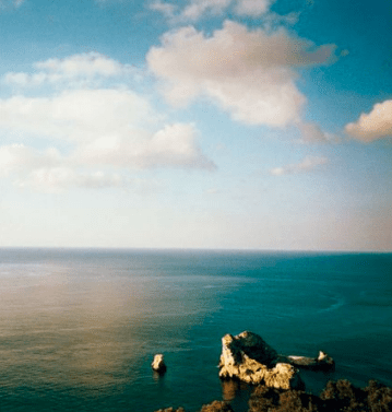 featuring images from Toast UK's summer 2011 catalogue