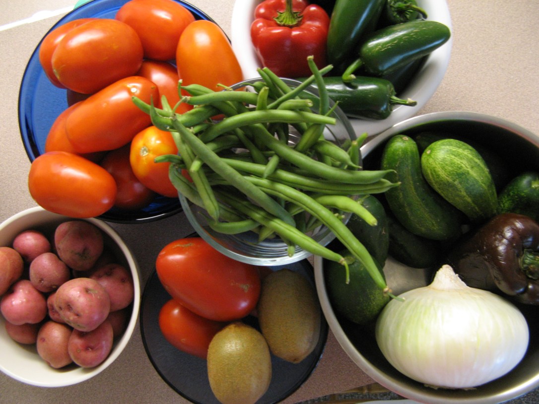plum tomatoes, new red potatoes, kiwis, poblano peppers, cubanelle peppers, green beans, white onion, cucumbers - farmers market produce plum tomatoes, new red potatoes, kiwis, poblano peppers, cubanelle peppers, green beans, white onion, cucumbers - farmers market produce