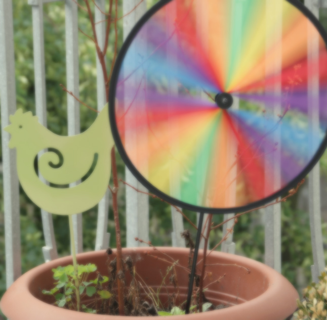 Artsy Ants - Sylvia - Photograph of Pinwheel in Garden Pot