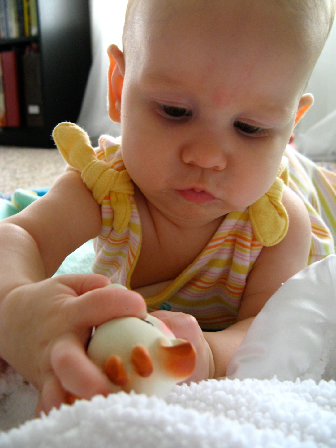 Aveline meets Sophie the Giraffe