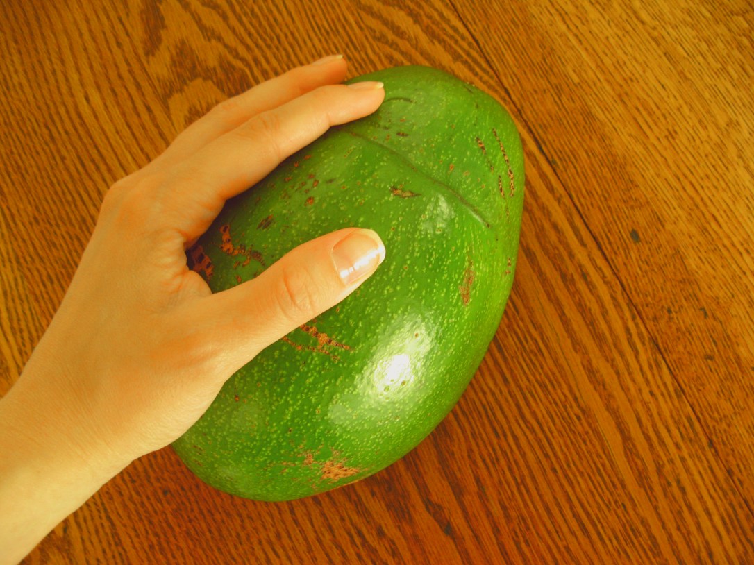 Florida avocado size compared to hand