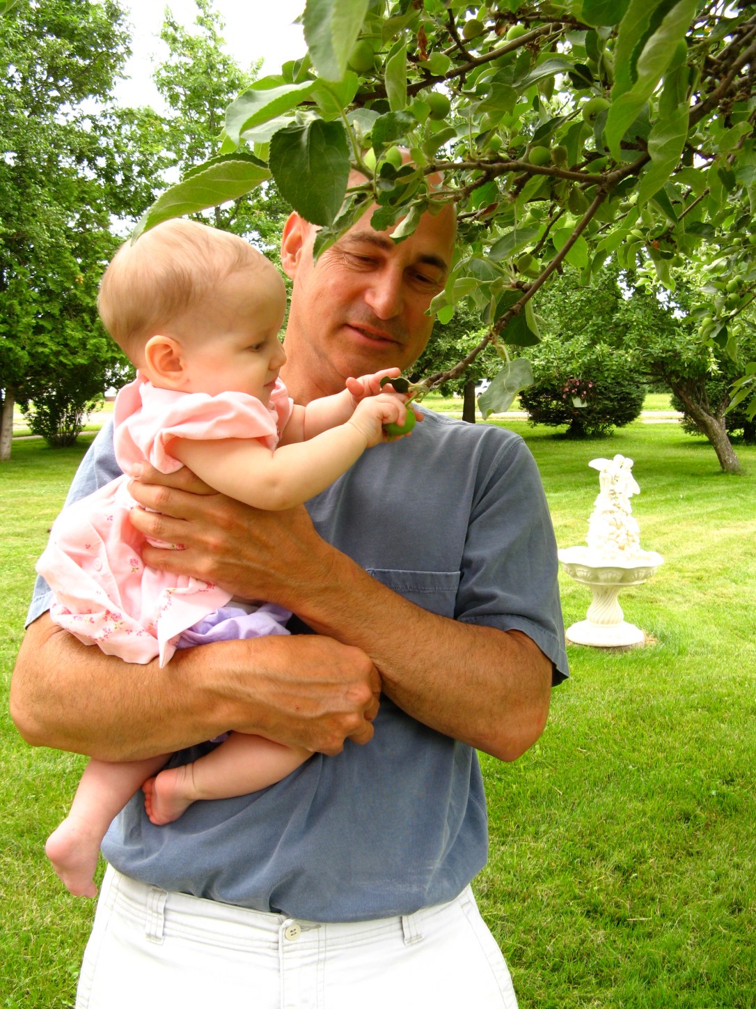 Great Uncle Chet holding Aveline, letting her pick a young apple off a tree in Caspian Michigan Great Uncle Chet holding Aveline, letting her pick a young apple off a tree in Caspian Michigan