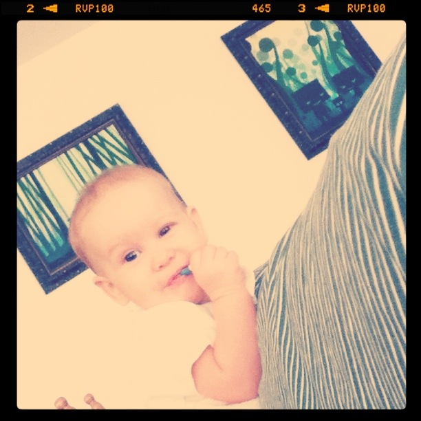 Aveline standing on couch in the morning - art in background is by Josiah Munsey 26pm.com