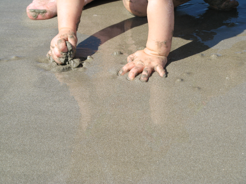 Baby hands holding wet sand Baby hands holding wet sand