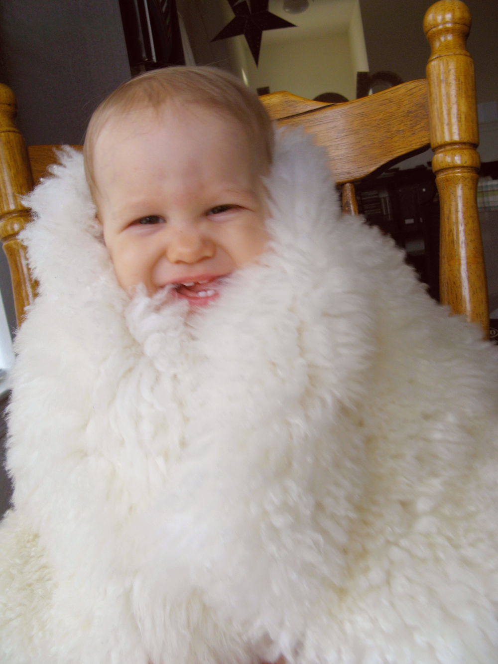 Aveline wrapped in sheepskin, on chair