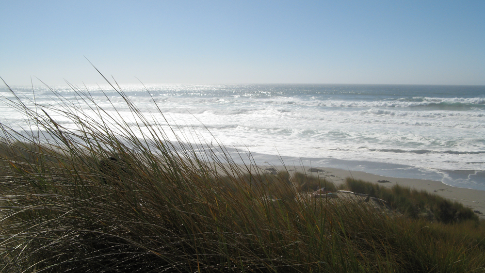 Favorite Places in Northern California - Bodega Bay