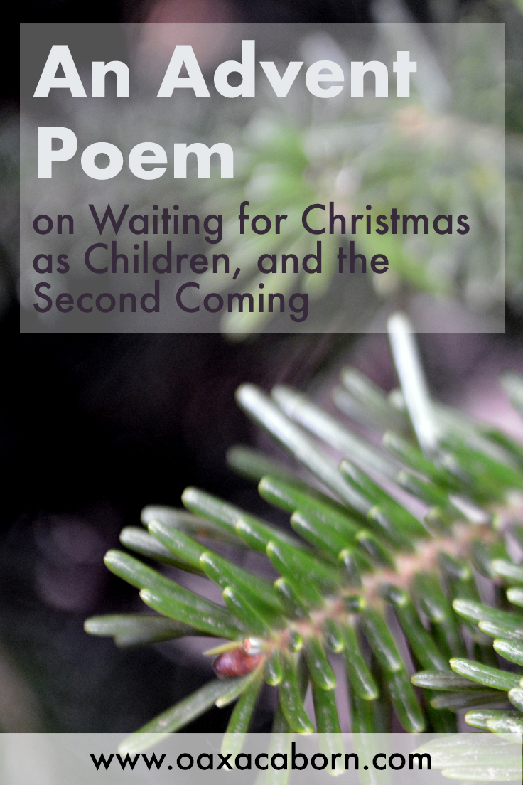 Advent in the Subtropics