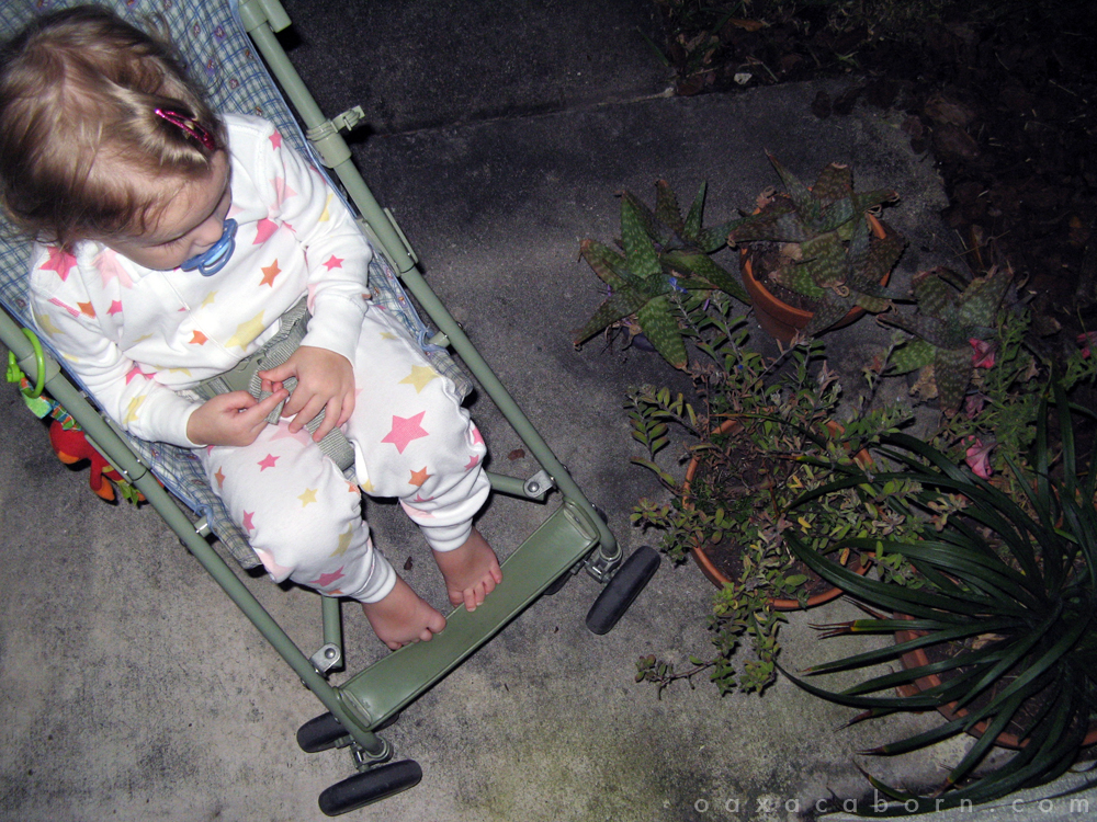 A Day in the Life of Oaxacaborn - Bedtime walk