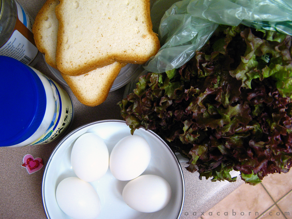 A Day in the Life of Oaxacaborn - Egg Salad Sandwich with Vegenaise and Gluten-free Bread