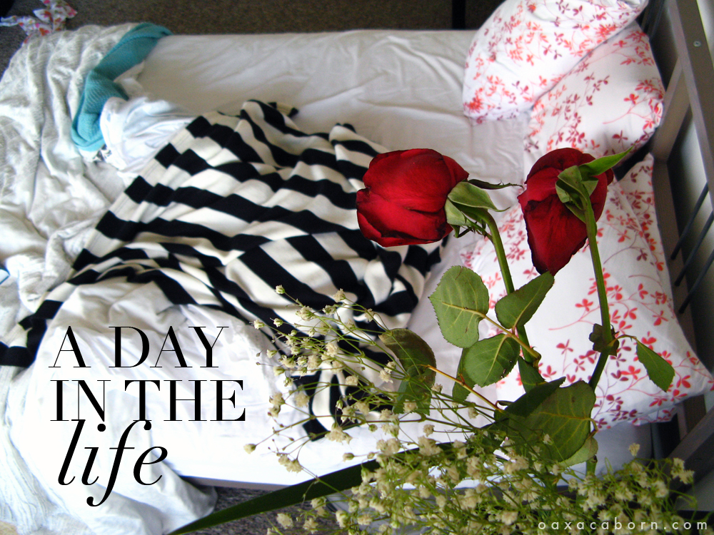 A Day in the Life of Oaxacaborn 