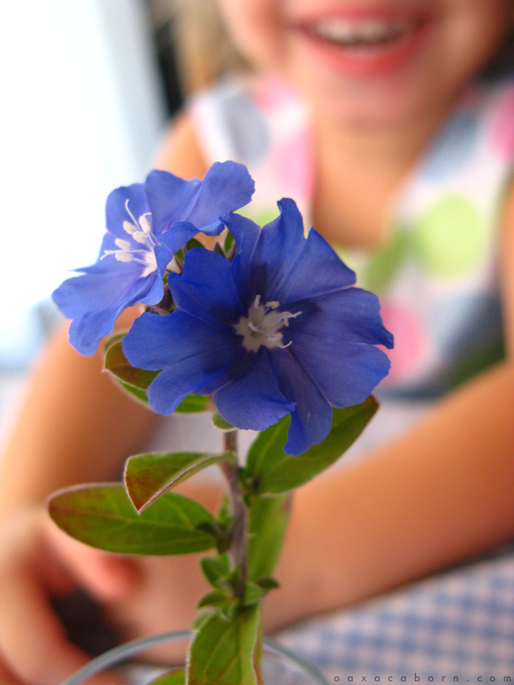 Easter 2013 - Flower with Aveline in the Background