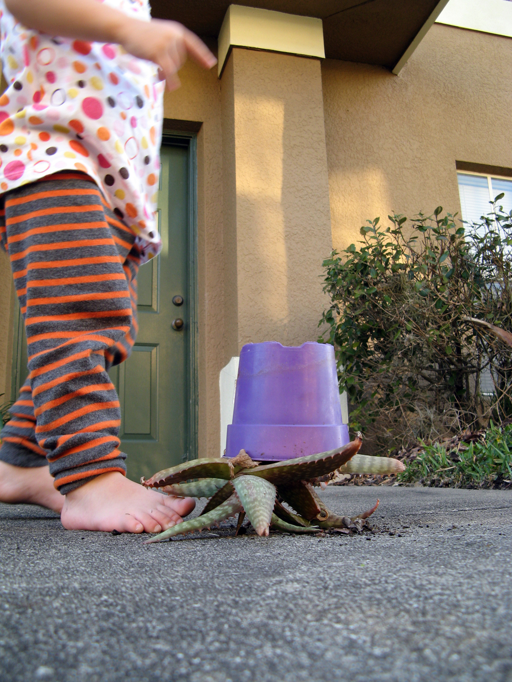 Toddler standing next to upside-down potted plant