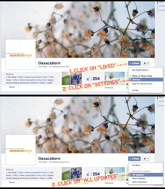 How to Change Your Facebook Settings so You See All Business Page Updates