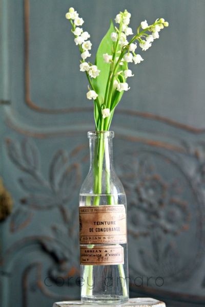 Muguet in Old Bottle - via Tongue in Cheek by Corey Amaro