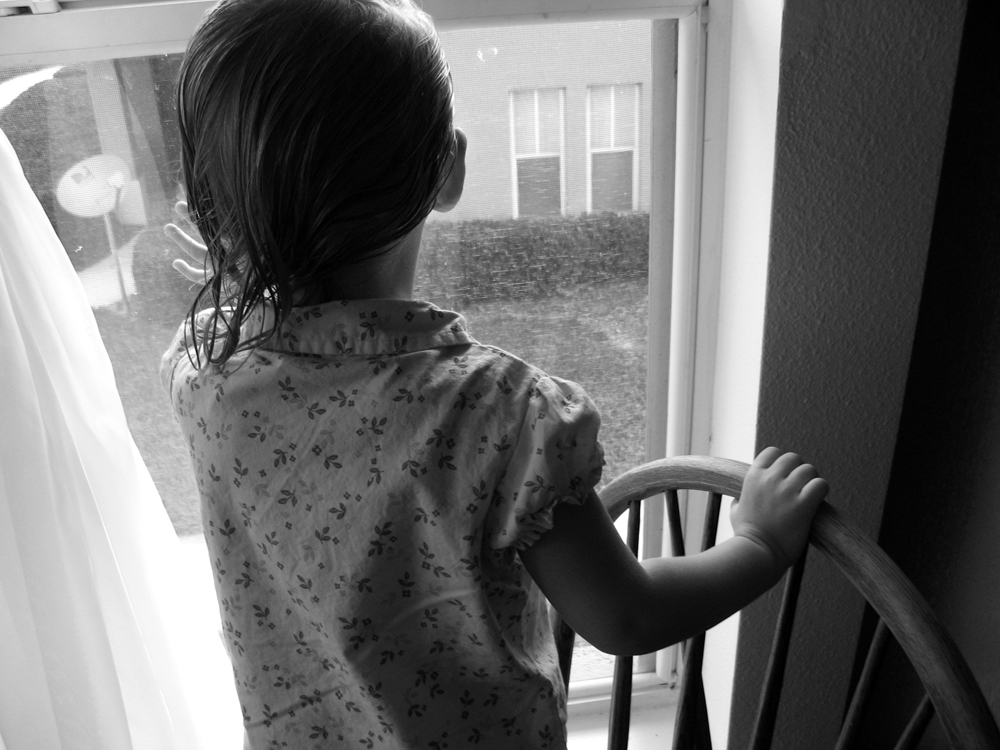 1000 px- Looking out the window in late summer