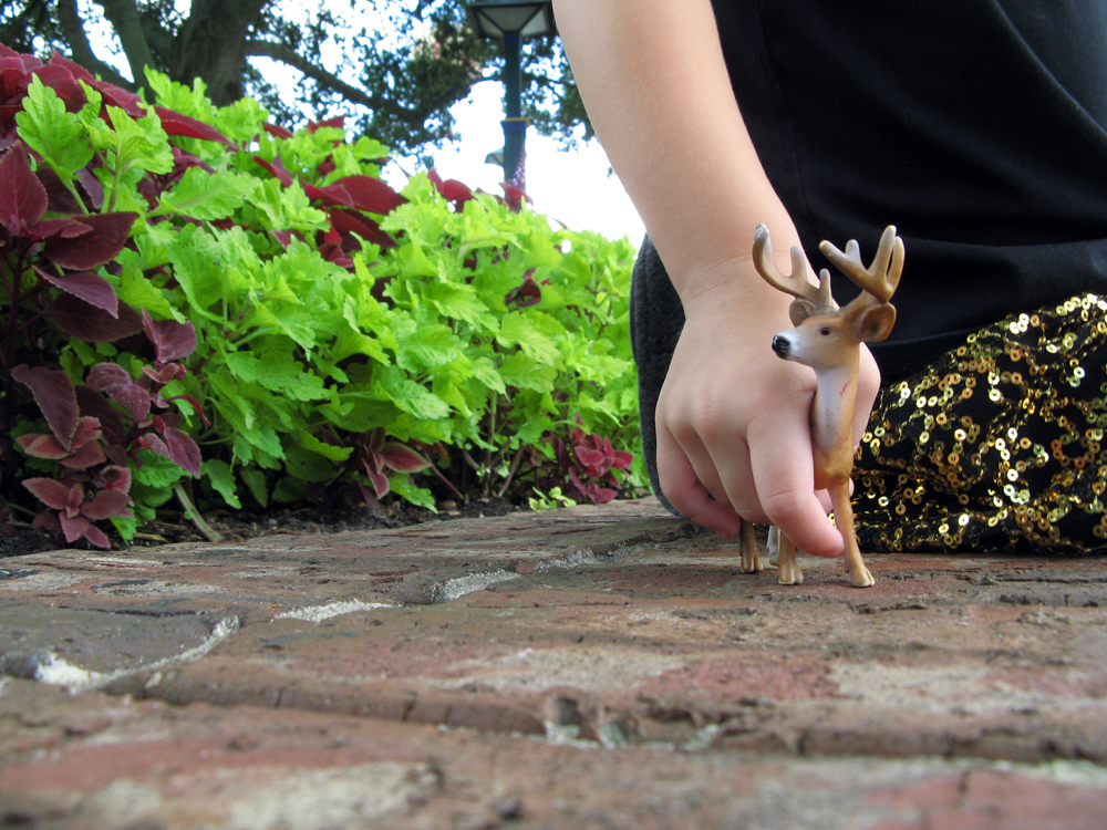 14 - Flowers by Zoe - Fall 2013 #jcpKids Fall Collection from JC Penney - on the Oaxacaborn blog