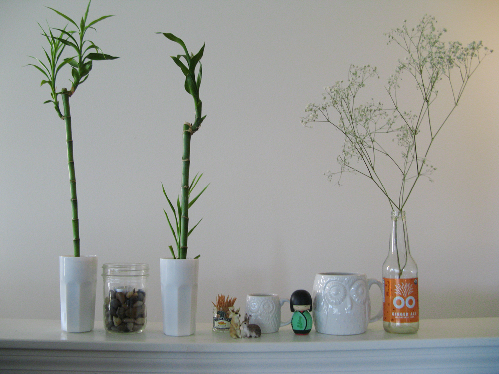 White Ceramics and Lucky Bamboo
