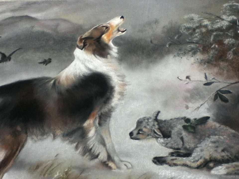 Collie - Chalk Art at Downtown Disney in Florida