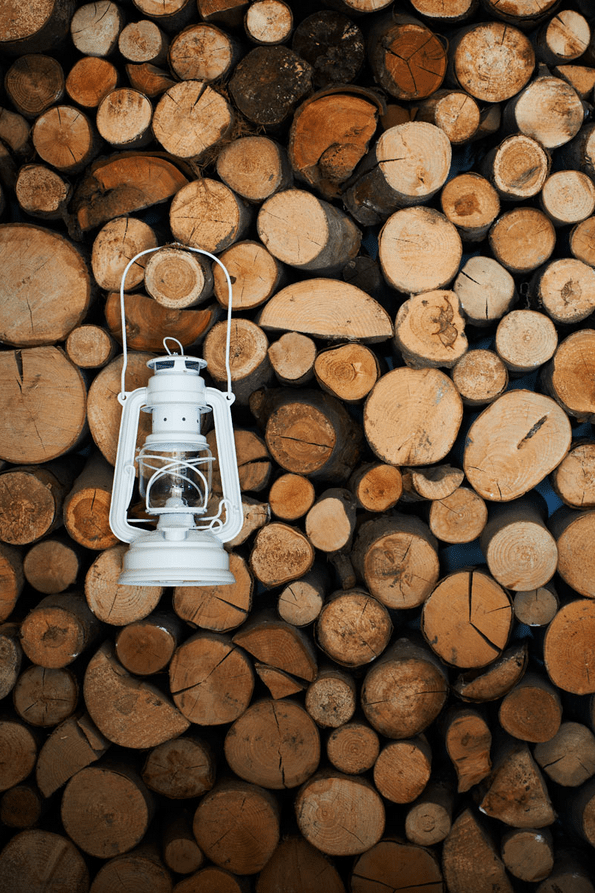 Christmas images from TOAST UK December/Winter Catalogue