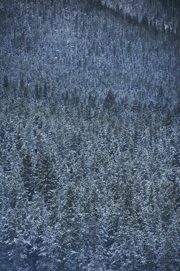 November 2013 Toast Catalog - Slate Mountains, Frozen Lakes and Tall Pines