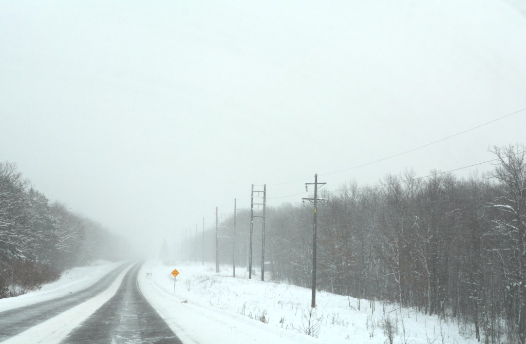 Upper Michigan Blizzard