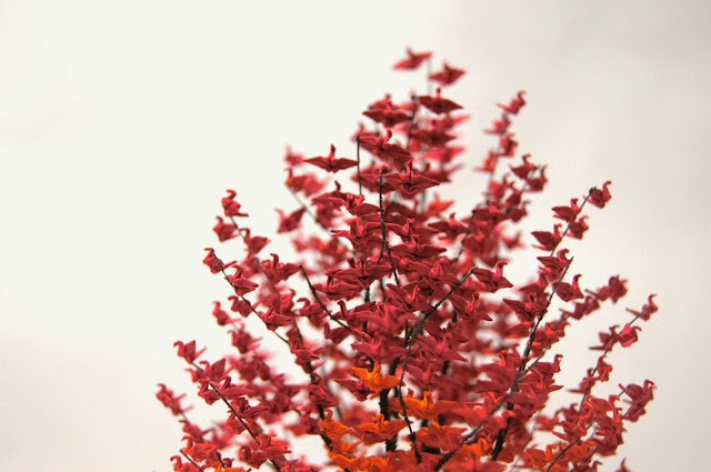 naoki onogawa's paper crane trees