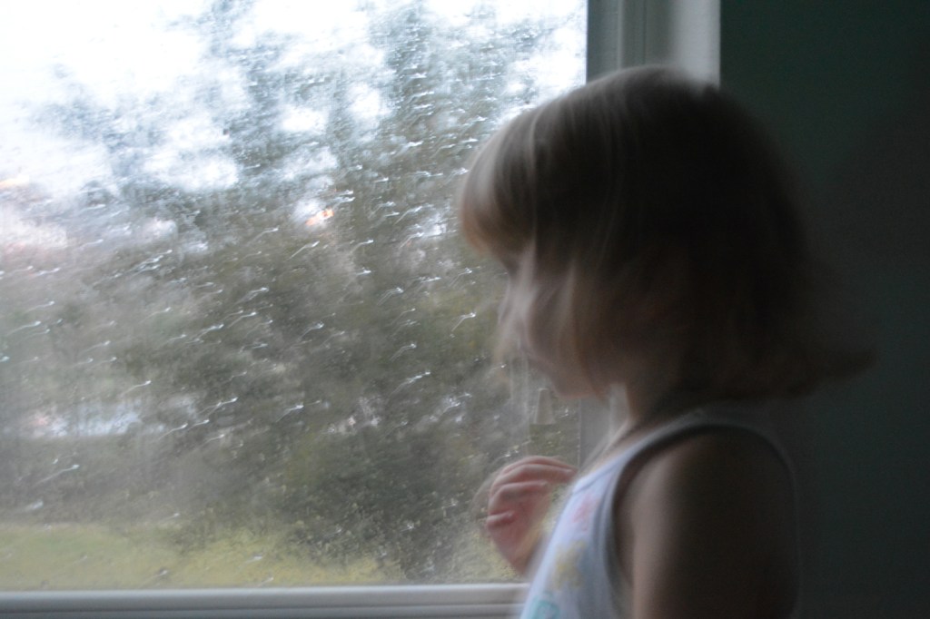 It doesn't happen very often that the fog and the quiet coincide - via the Oaxacaborn blog