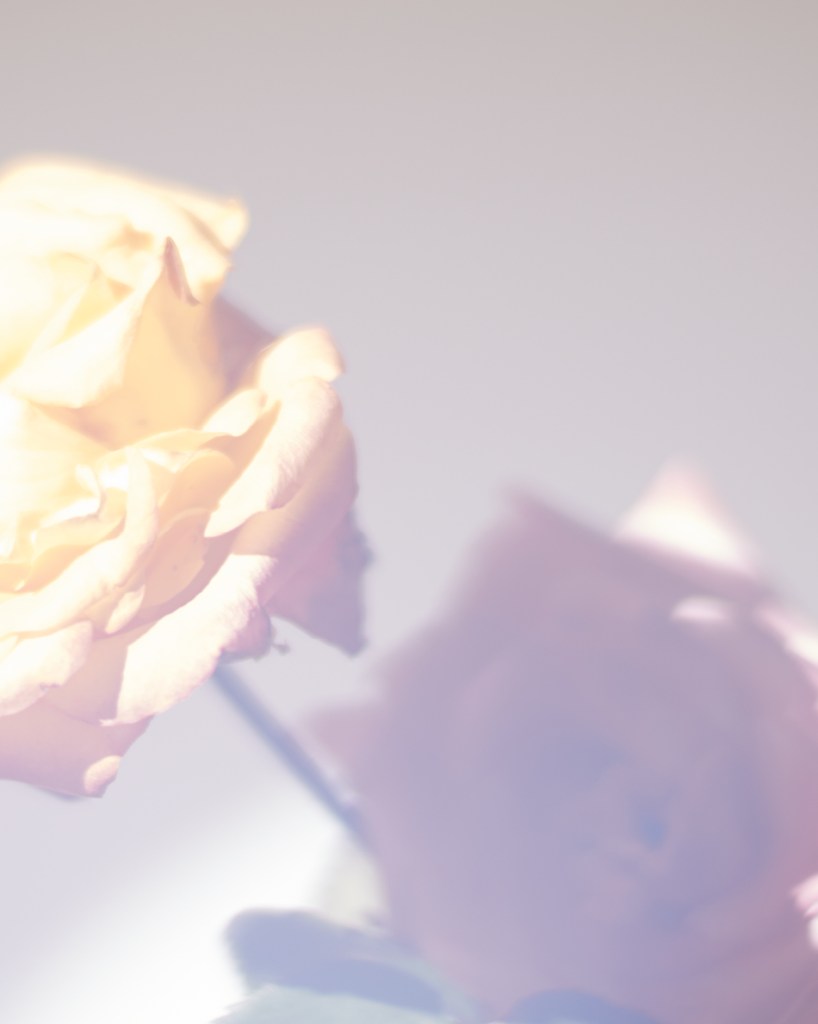 1 Toast UK Catalogue Women April 14