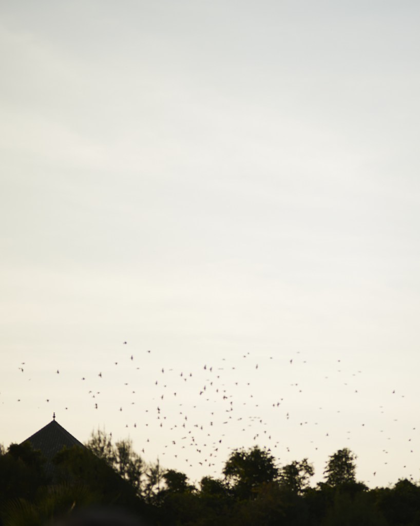 8 Toast UK Catalogue Women April 14