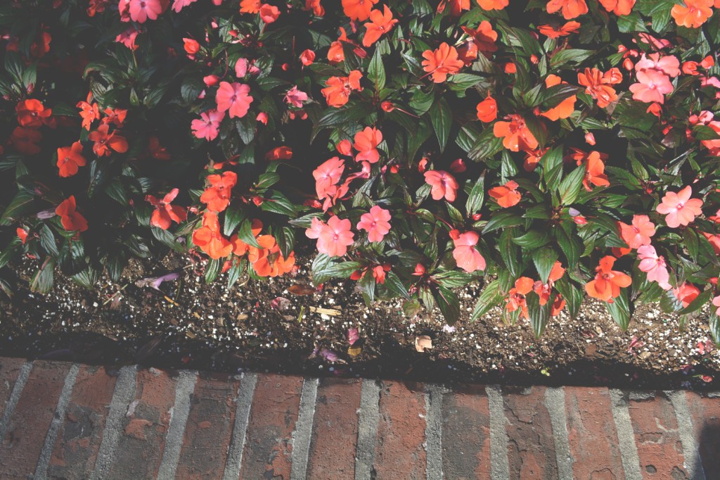 LIFE IN PHOTOS :: Inside Outside, a post on the Oaxacaborn blog