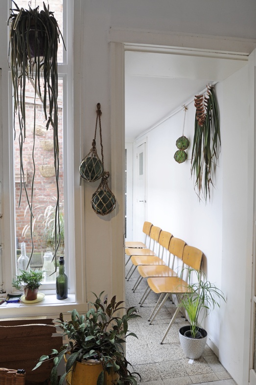Hanging plants, plants in interior design - indoor/outdoor room via Atelier Solarshop - Monday's Pretty Things on Oaxacaborn