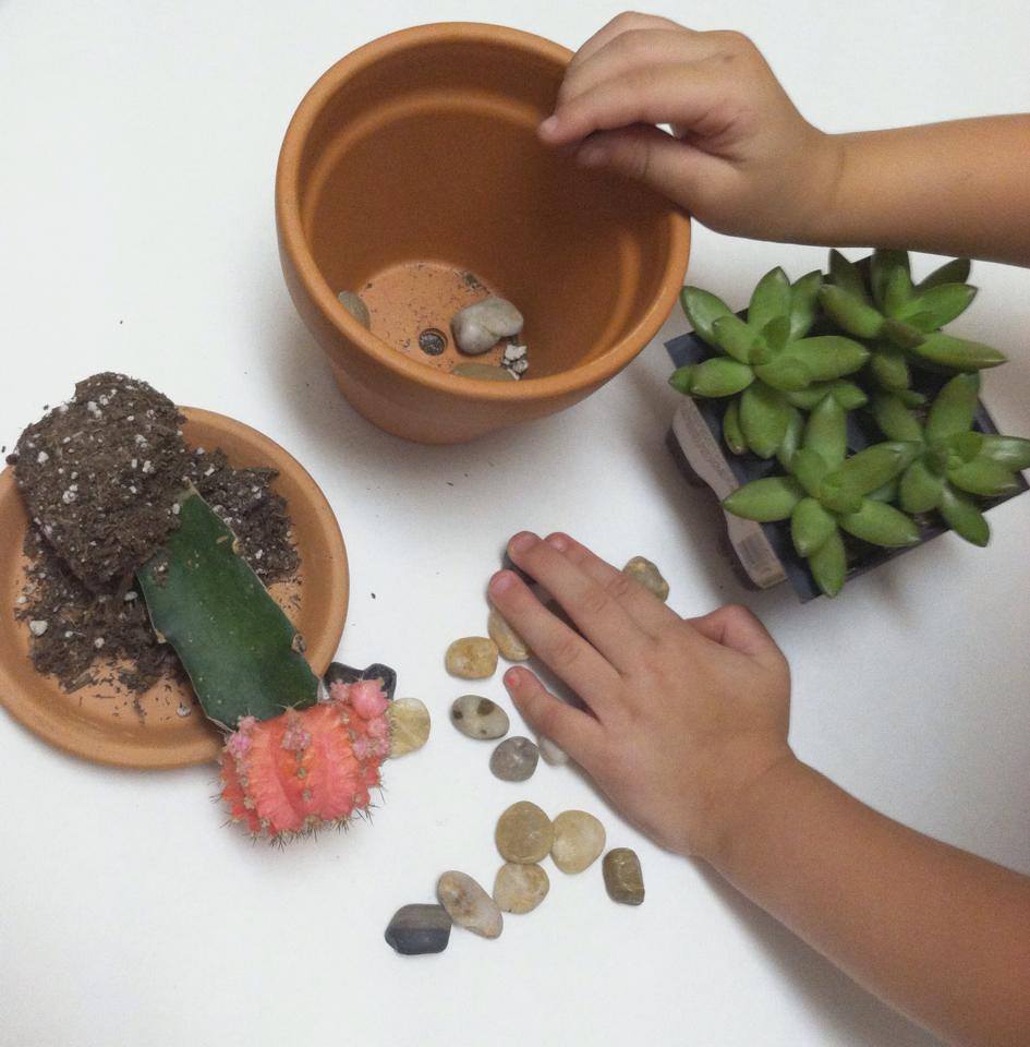 Inspired by #UrbanJungleBloggers