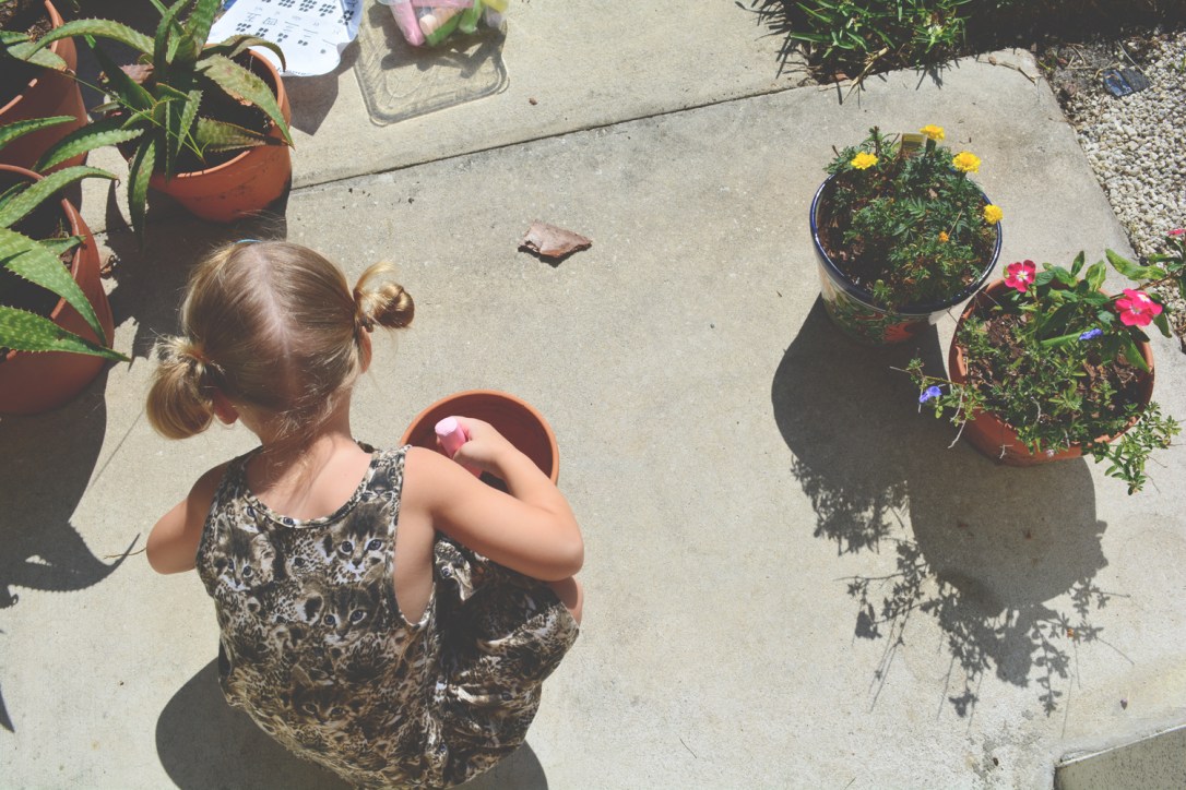 Tropical Blooms, Sidewalks of June