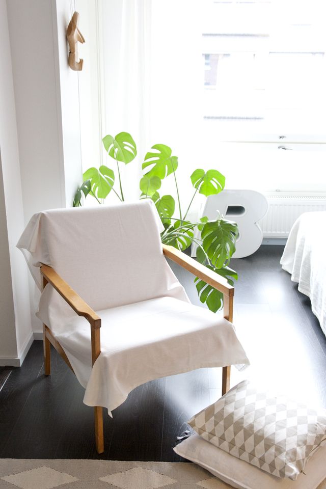 White interior with single green plant via ukkonooa