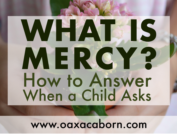 what_is_mercyFB