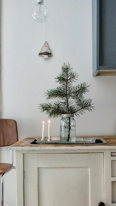 Noralill Branch in Jar on Oaxacaborn's MONDAY’S PRETTY THINGS :: Decorating with Christmas Tree Branches