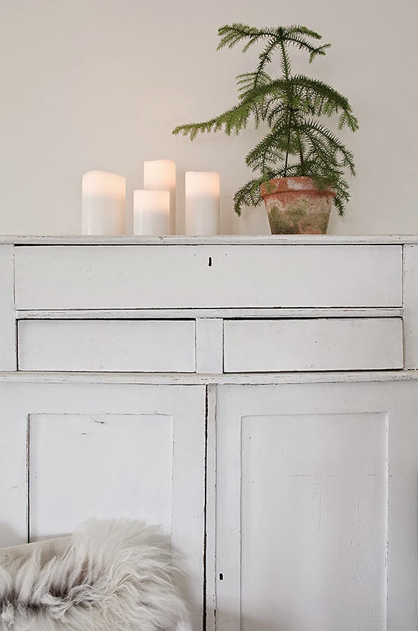 Princess Pine in Clay Pot Anna Truelsen on Oaxacaborn's MONDAY’S PRETTY THINGS :: Decorating with Christmas Tree Branches