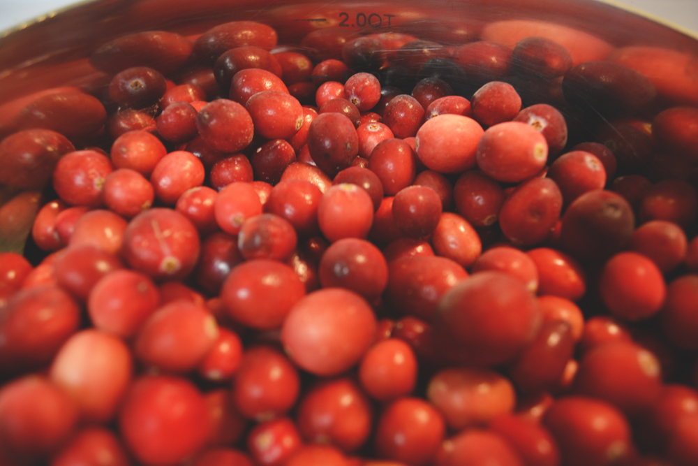 WEB_Oaxacaborn_Life_in_Photos_Cranberries