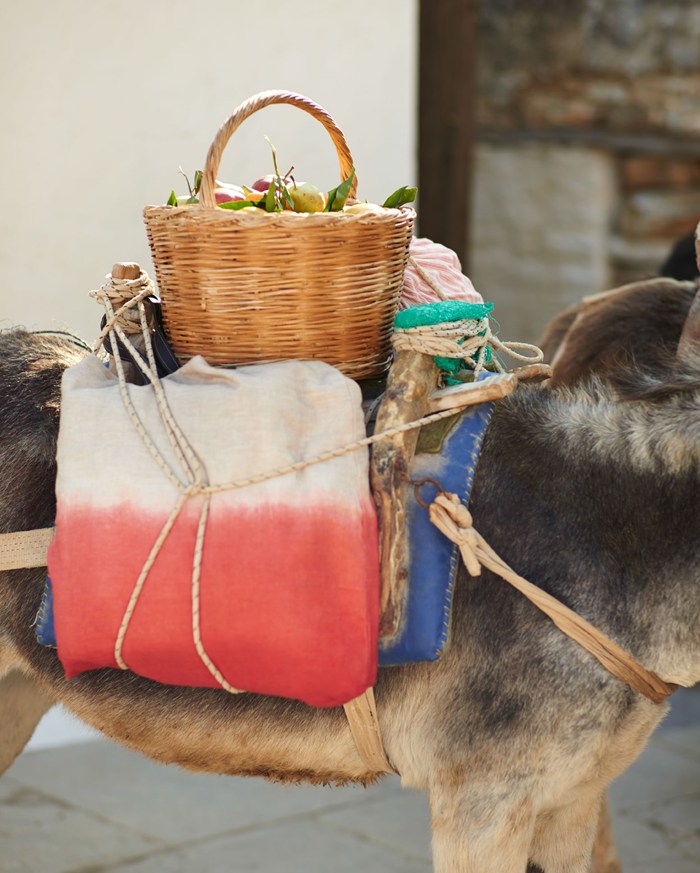 Toast UK SS15 Women Lookbook -- Baskets on a donkey