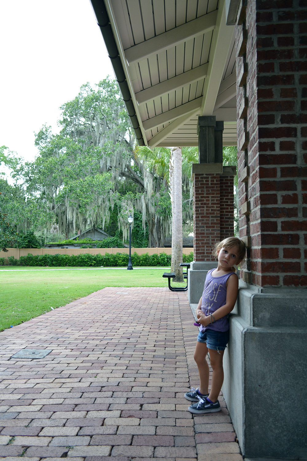 Grumpy Aveline and Spanish moss