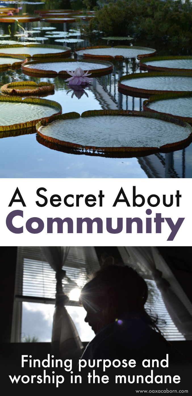 A Secret about Community: Finding Purpose and Worship in the Mundane | Oaxacaborn blog