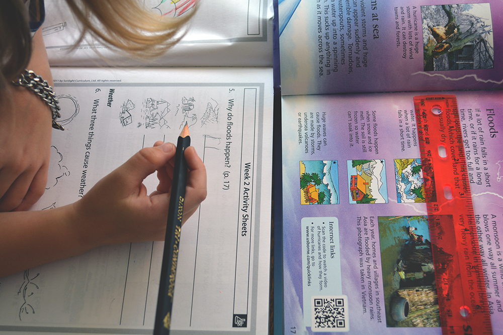 Life in Photos :: Sonlight Science A :: Biology, Botany and Physics :: Homeschooling on the Oaxacaborn blog