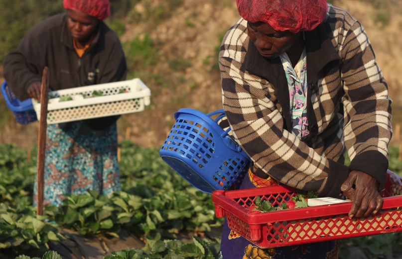 20 Gifts that Matter, for #GIVINGTUESDAY and Everyday (via Oaxacaborn.com)