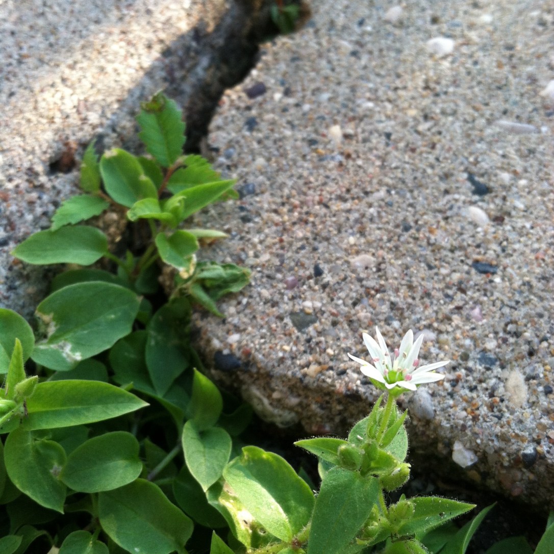 On the Epiphany, Dirty Bathrooms, and Hallowed Ground