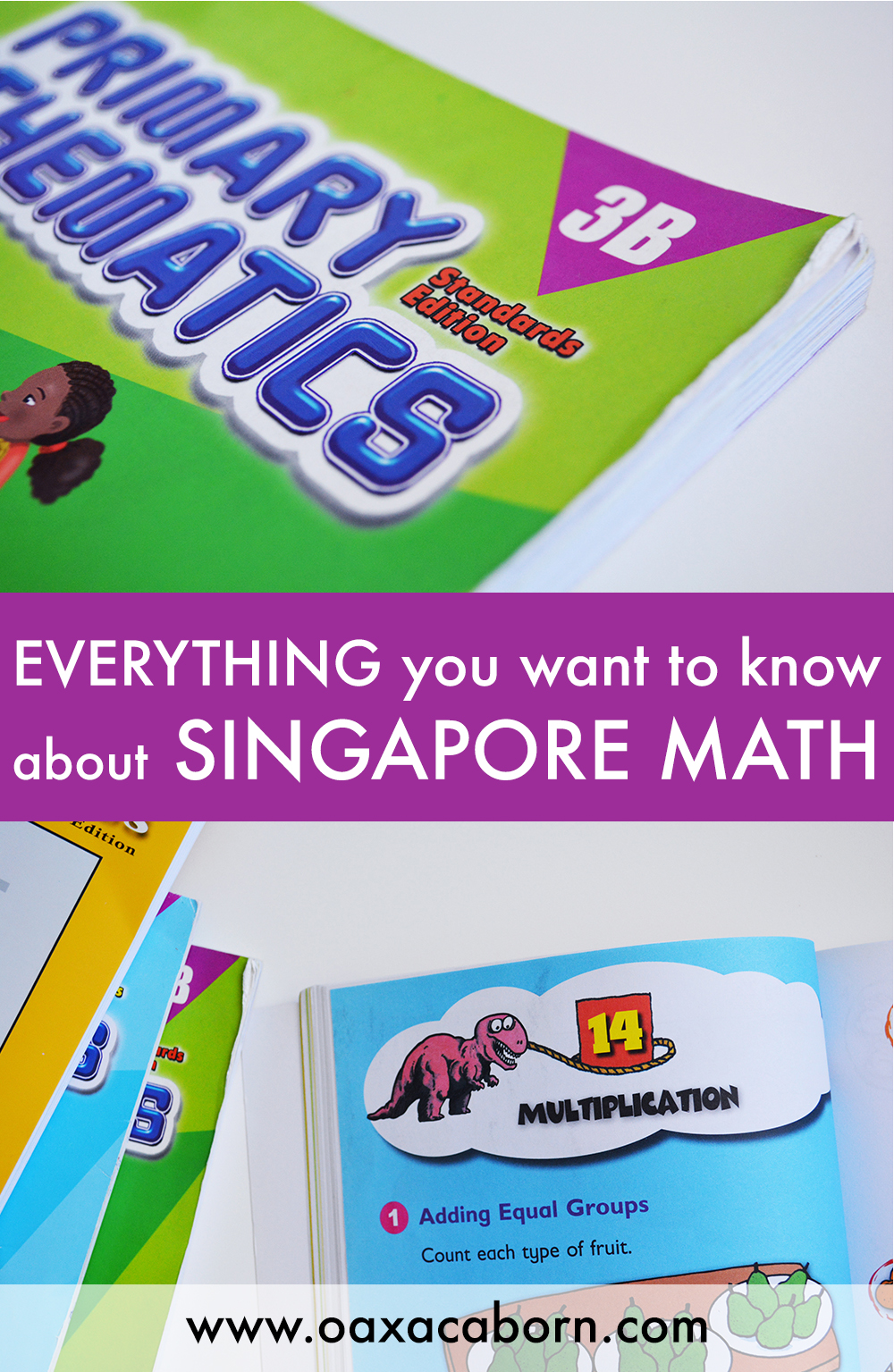 Everything you want to know about Singapore Math.