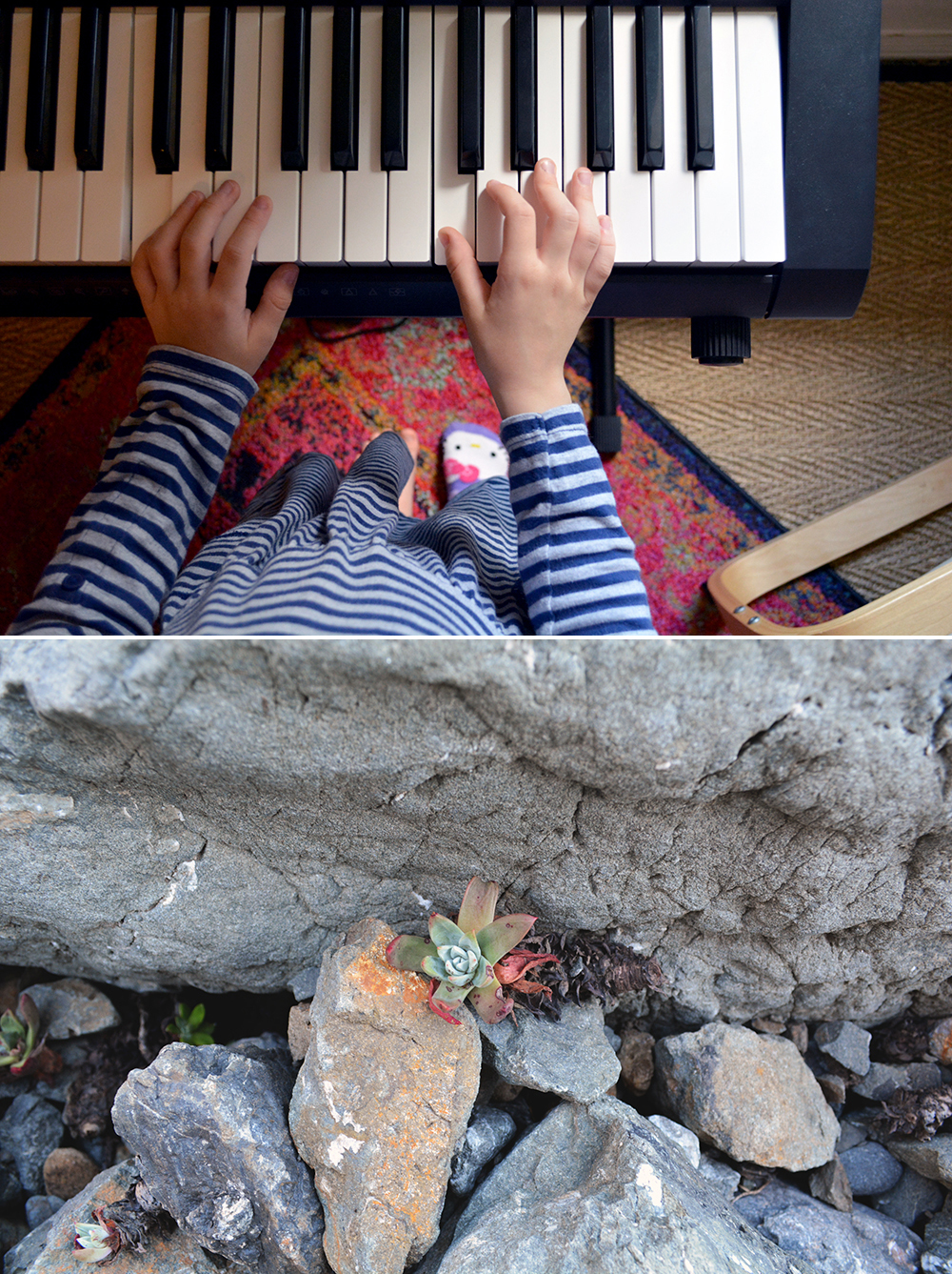 Gifted Classical-Leaning Homeschool Curriculum Choices for 2nd Grade (2017-2018) by Gina @ Oaxacaborn